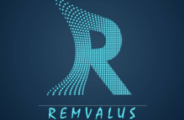 remvalus logo